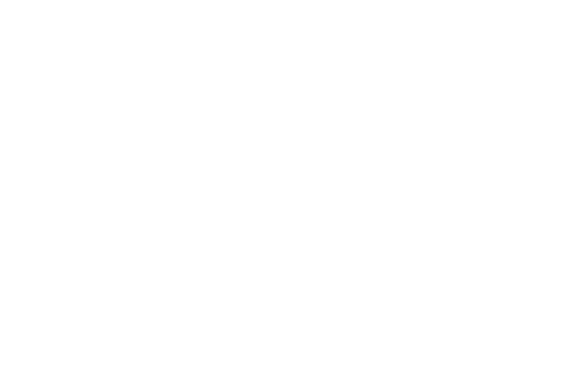 Ricardo Plc